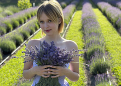  :      Lavender life