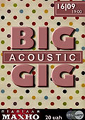 Big Acoustic Gig