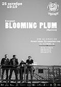   Blooming Plum