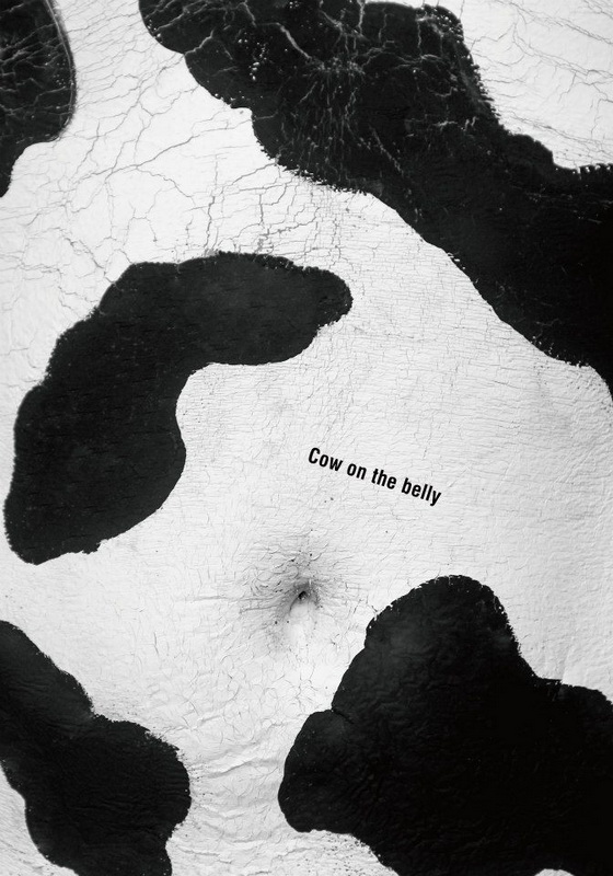 He Can, CHINA 12-    COW 2015