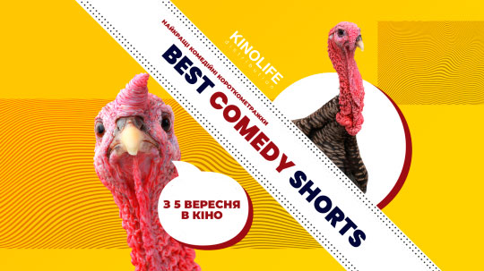 Best Comedy Shorts - 2019,  