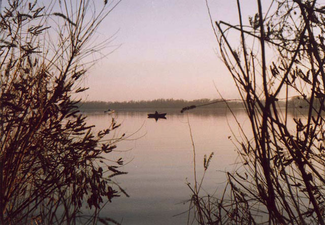           shevchenko