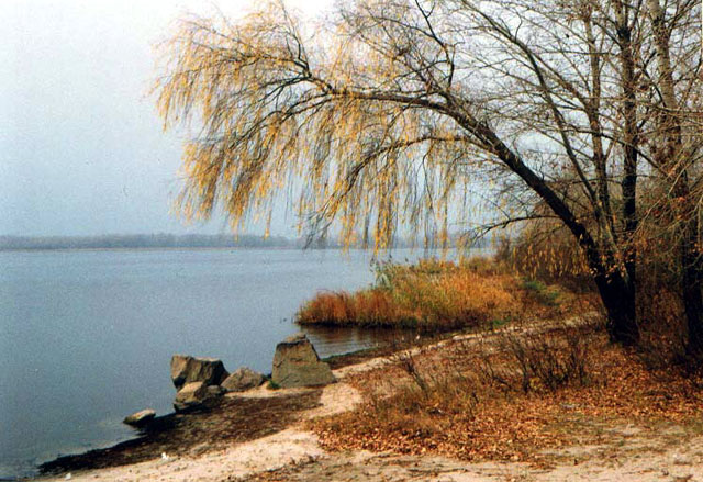    shevchenko 