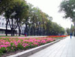 Початок пр. Кірова