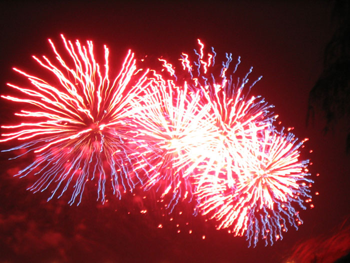   2004.   