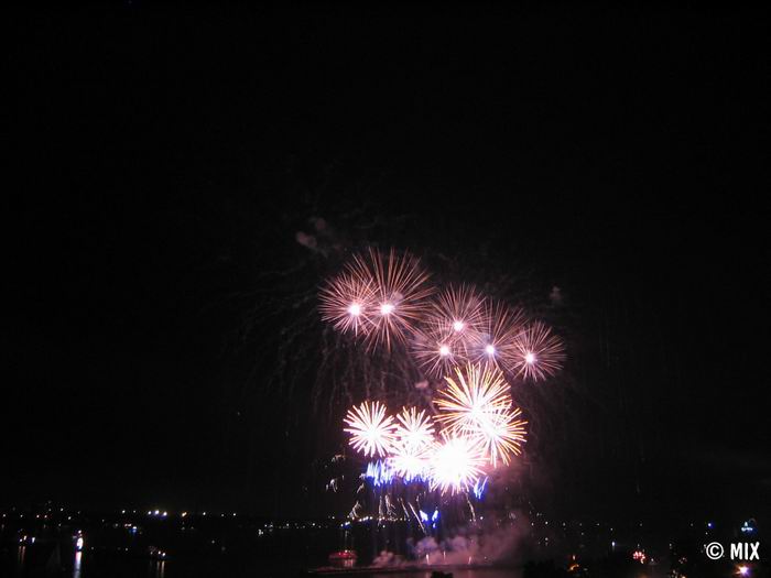  2005.   