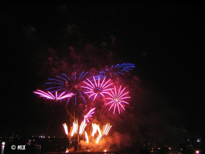   2005.   