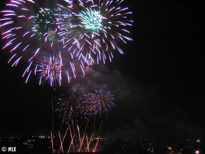   2005.   