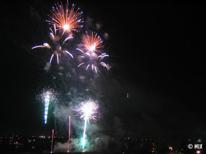   2005.   
