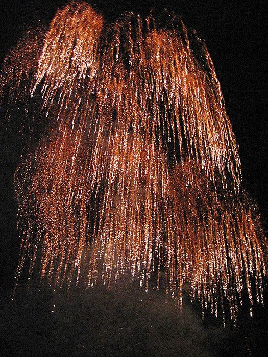   2005.   