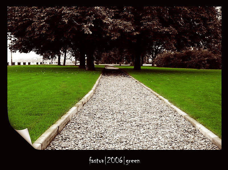 Green.   