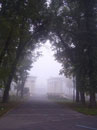 У тумані