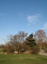 парк Ленина, ж/м Красный Камень