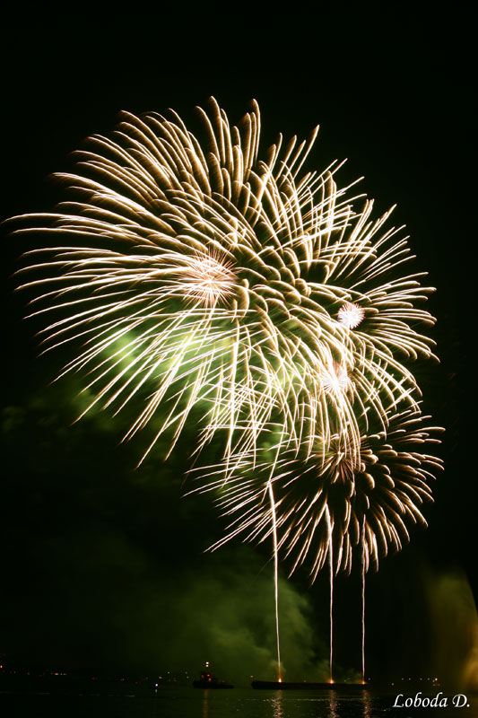 .  ̳ 2007  