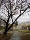 вул. Тьоміна