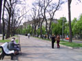 Бульвар просп. Карла Маркса