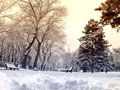 Останні сніга. Парк Глоби