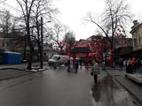 Первый китайский Новый год в Днепре