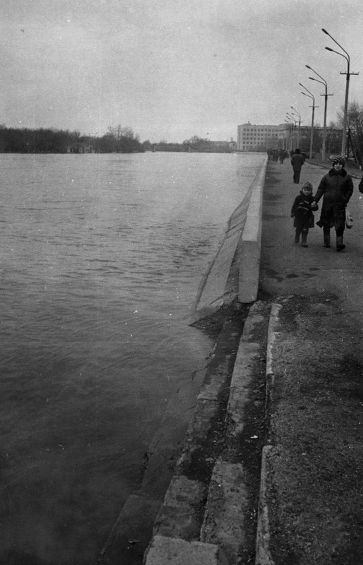 .,  1985 .,   
