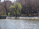 Весна у парку