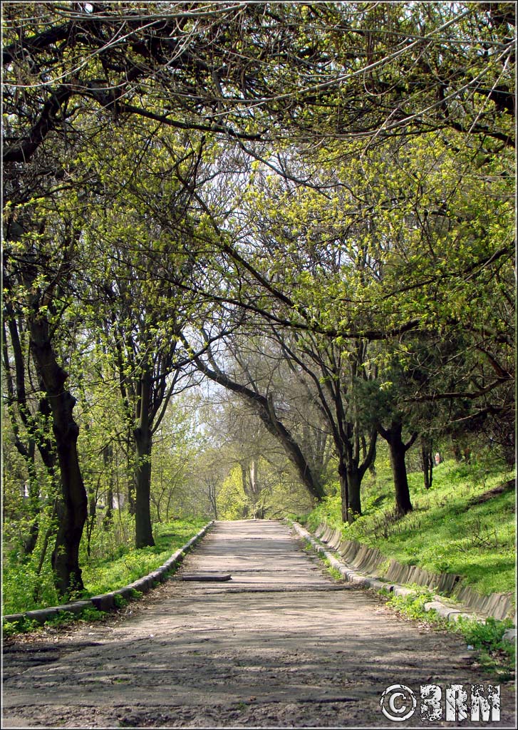 Green way  
