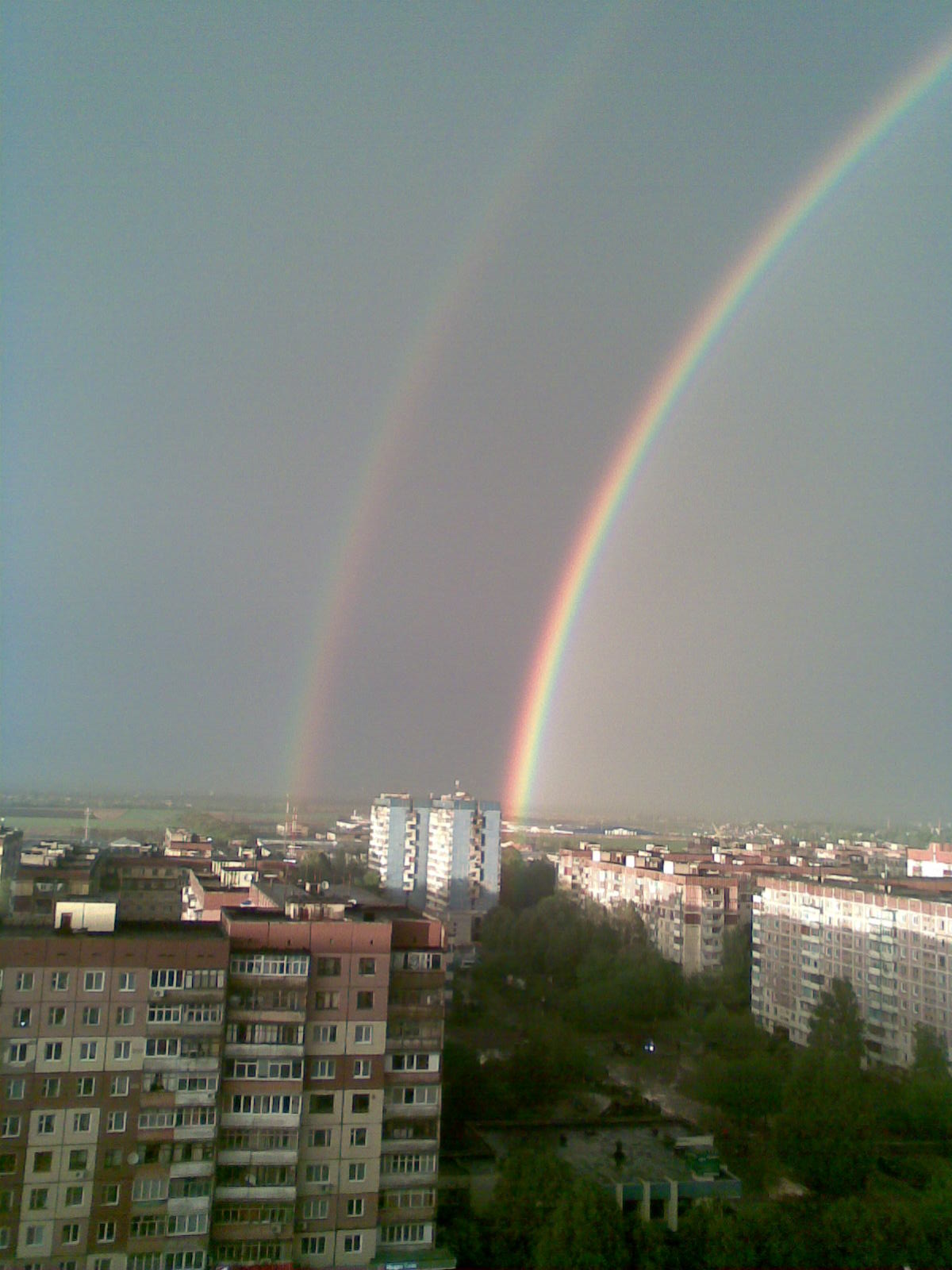   2008       . 