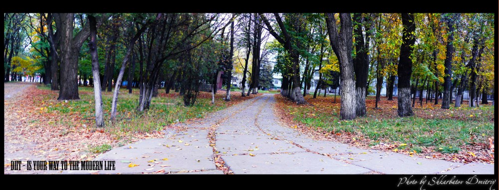 DIIT DIIT - IS YOUR WAY TO THE MODERN LIFE 