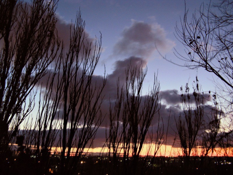 Before The Wind  