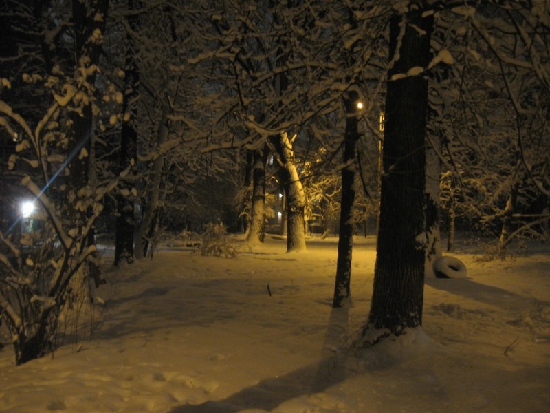    2009  