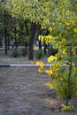 Осінь