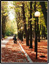Warm autumn
