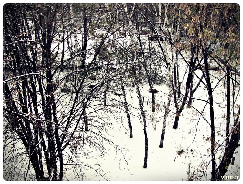Part Winter  