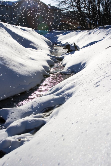 Legmade Snowfall  