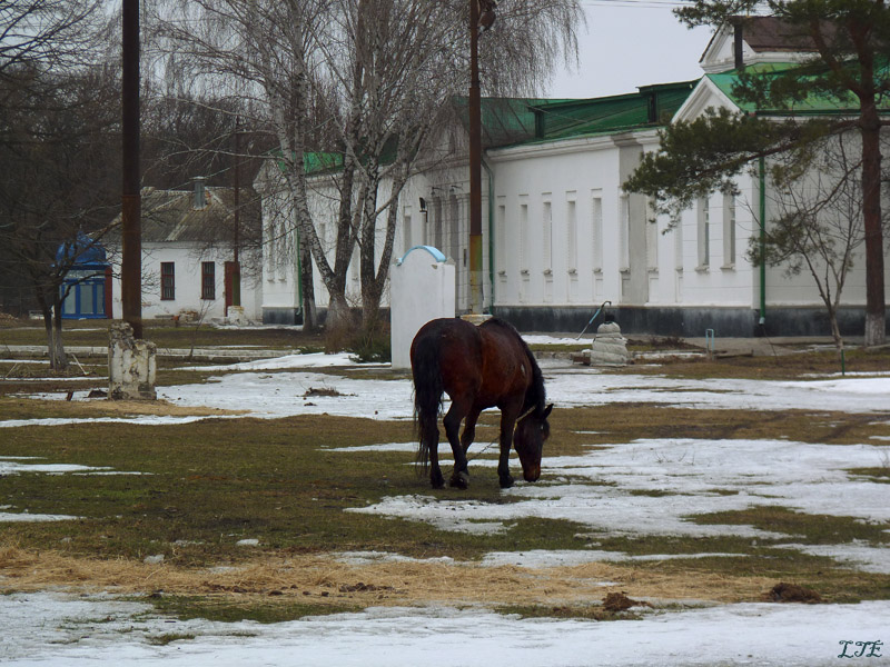    2-  XVI 
http://sobory.ru/article/index.html?object=04878 