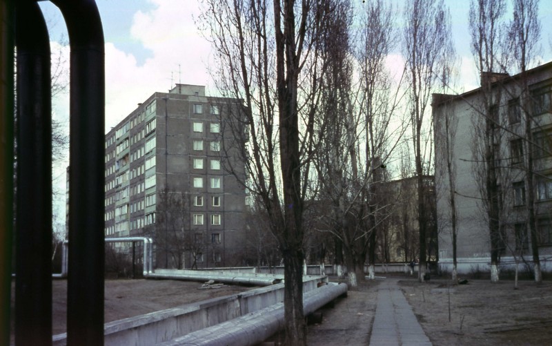  ع29    1981-82. 