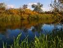 Оріль