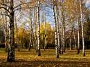 Осінь