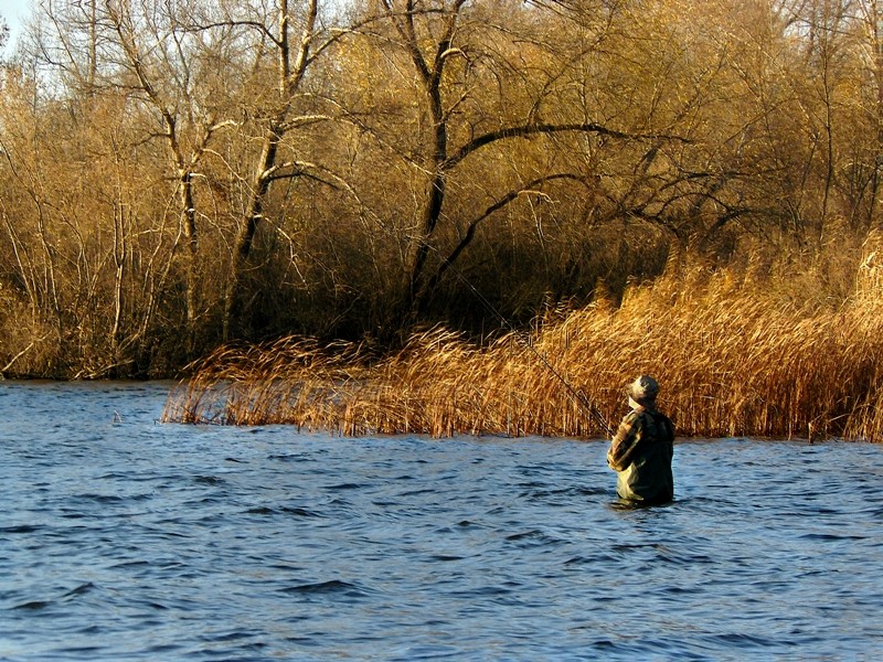 Fisher  