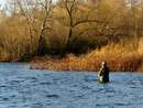 Fisher