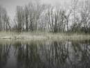 Reflection