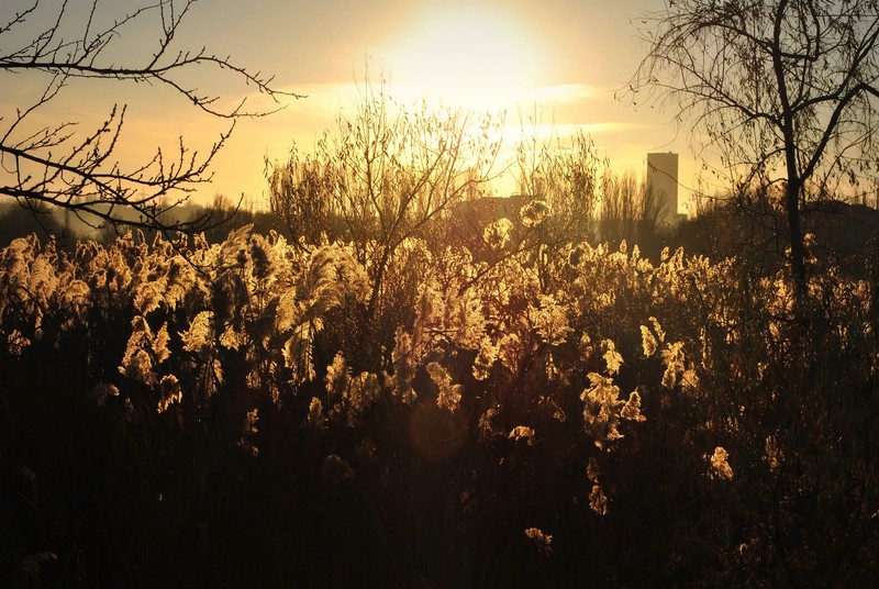 sunset  