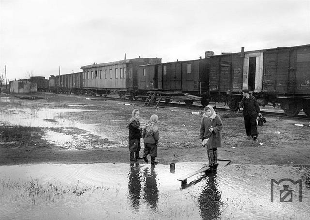 ,    : http://www.eisenbahnstiftung.de
. : Eine eher trügerische Idylle am Rande eines unbekannten Bahnhofs in der RVD Dnjepropetrowsk neben einem Bauzug aus gemischten deutschen und russischen Wagen. (1943) Fo 