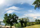 Shevchenka Park