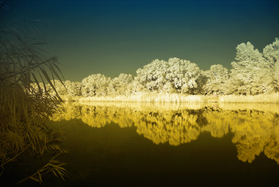 , . (infrared) infrared 