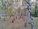 Осінь