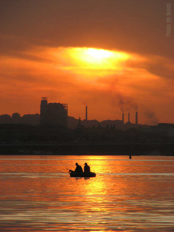    20 , 2011..)) 
