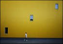 The wall