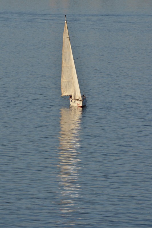 볺    