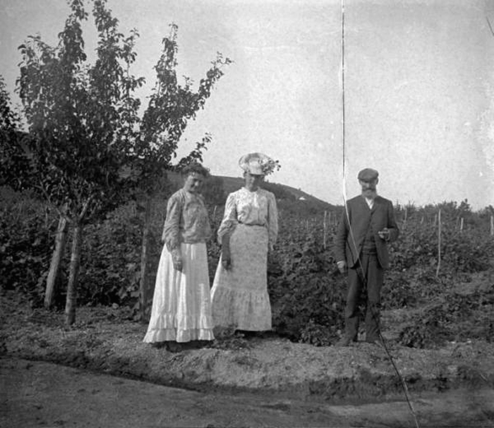    .., 1906-1910 . : inphoto.ru 