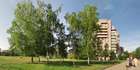 Великодній ранок